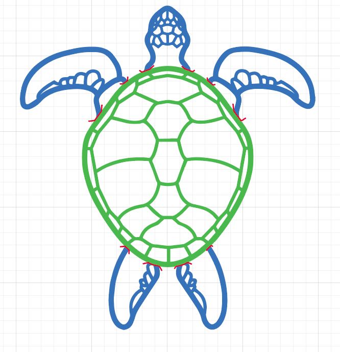 Turtle Live Paint.png